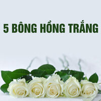 Lời ru của đêm - Le Dung