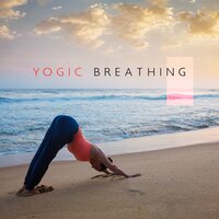 Body Awakening - Anandra