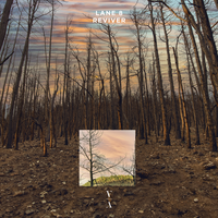 Reviver - Lane 8