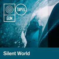 Stillness - Gum Tapes