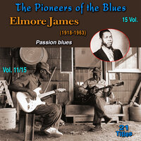 The Sun Is Shining - Elmore James