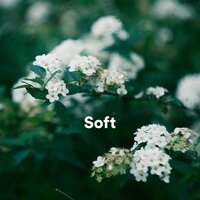 Shanti - deep sleep music collective & Instrumental Sleeping Music & Sleeping Music for Babies