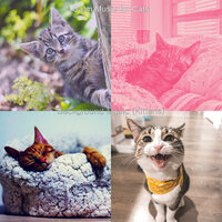 Memories (Kittens) - Calm Music for Cats
