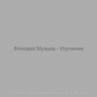 Впечатление (Концентрация) - Спокойствие изучения музыки Все звезды