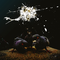 Stanotte - The Clerk & Ivanpiva & Royal Damn
