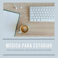 Alivio del Dolor de Cabeza - Estudio Brillante