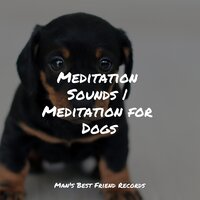 Evening Calm - Relaxing Music for Dogs & Music for Dogs & Music for Dogs Collective