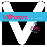 Strangers Never (Friends Forever) - The Vibrators