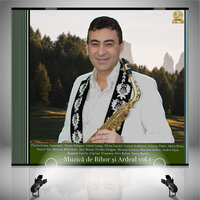 Mama tot mama ramane - Mioara Greavu & Florin Ionas Generalul
