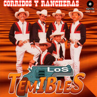 Daniel Soberanis - Los Temibles