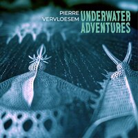 First Dive In The China Sea - Pierre Vervloesem