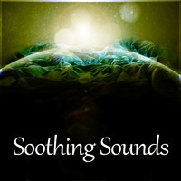 Meditate - Best Sleep Music Academy