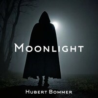 Moonlight - Hubert Bommer
