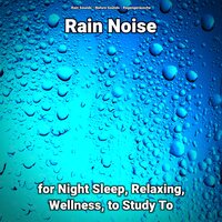 Rain Noise for Night Sleep and Relaxing Pt. 45 - Nature Sounds & Rain Sounds & Regengeräusche