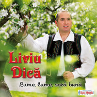 Lume, lume, sora buna - Liviu Dica