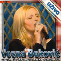 Imala Sam Drugariku - Vesna Djokovic & Razvigor Rasko Spasojevic Orkestar