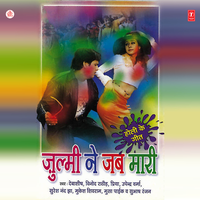 Holi Mein Joban Rangwa Ke - Debashish Dasgupta & Super Cassettes Industries Private Limited