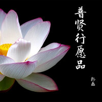 普贤行愿品 - 韩磊