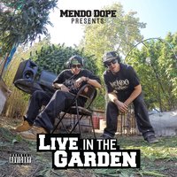 Farming Lingo - Mendo Dope