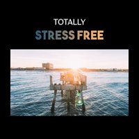 Balance in Your Natural State - New Age Anti Stress Universe