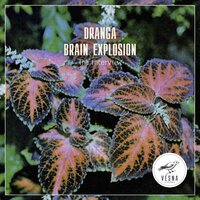 The Interview - Dranga & Brain Explosion