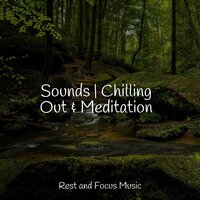 The Wind Is Dancing - Lullaby Babies & Serenity Spa Music Relaxation & Tranquil Music Sound Of Nature