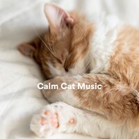 Tranquility - Music For Cats & Cat Music & Calm Music for Cats