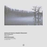 Brista - Modular Phaze & Primär Förekomst