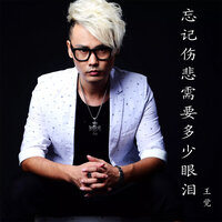 忘记伤悲需要多少眼泪 - 王觉