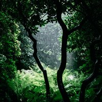 Trance - Soothing White Noise For Infant Sleeping And Massage & Rain Storm Sample Library & Cascada de Lluvia