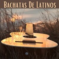 Por Volver - Leonardo Paniagua