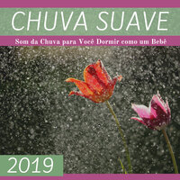 Sono REM - João Féliz Chover