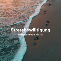 New-Age-Musik - Klassisk Musik Orkester