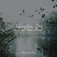 Holy Rains - Nature & Sounds Backgrounds & Academia de Música con Sonidos de la Naturaleza & Internal Yoga