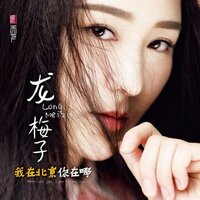 怒放 - 龍梅子