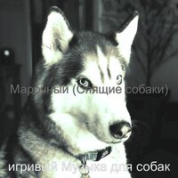 Звуки (Собаки, щенки) - игривый Музыка для собак