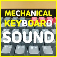 Forest Sound +  Slow Mechanical Keyboard Sound (White Noise Healing ASMR) - ASMR