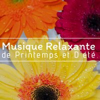 Perdre du poids avec l'hypnose - Musique Ambiance Détente