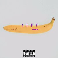 Патимэйкер - Пика