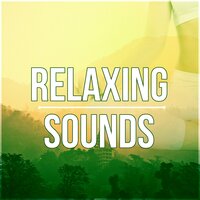 Rain Sounds - Relaxation & Meditation Academy
