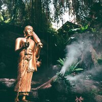 Rainforest Drops - Sounds of Nature White Noise for Mindfulness Meditation and Relaxation & Spa & Spa & meditacou musica ambiente