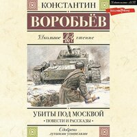 Константин Воробьев. «Убиты под Москвой. Повести и рассказы». Часть 23 - Филипп Матвеев-Витовский