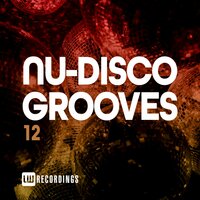 This Groove - Disko Junkie