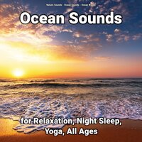 Ocean Waves Sounds - Nature Sounds & Ocean Sounds & Ocean Waves