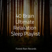 Tropical Forest, Subtle Stream, Animals - FX & Effects & Nature Sound Collection & Alpha Brain Waves