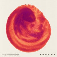 Closer - Total Hip Replacement