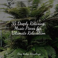 Swaying Calmness - White Noise Sound Garden & Amazing Spa Music & The White Noise Zen & Meditation Sound Lab