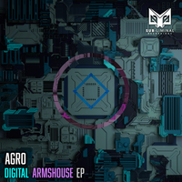 Gunshot Riddim - Agro