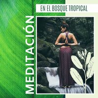 Ho'oponopono - Paz Selva Virgen