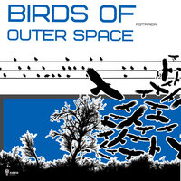 Birds of Outer Space - Astraer & Alex ll Martinenko